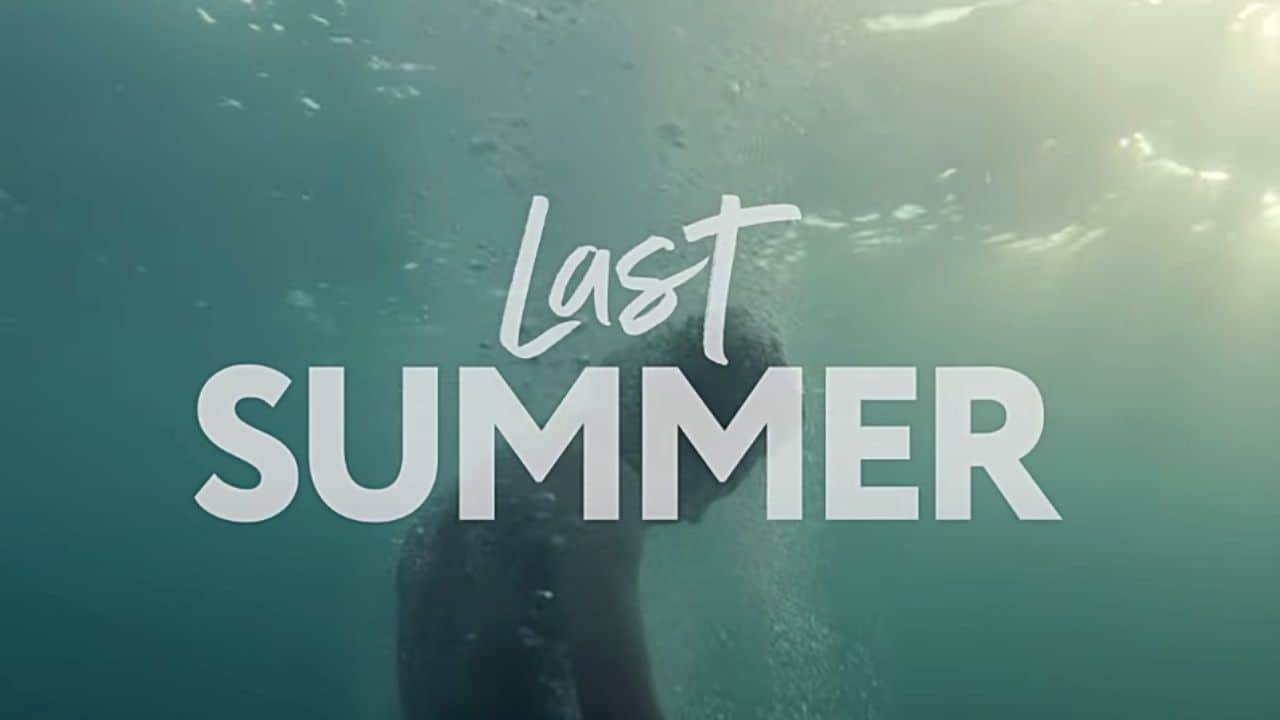 Ласт саммер песня. Last Summer. Last Summer 2021. Last Summer Владпиво. Last Summer 2.