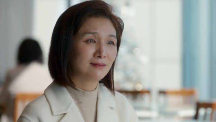 Hee Sook Kang Ji-Won's mother Marry My Husband